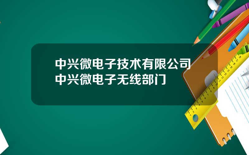 中兴微电子技术有限公司 中兴微电子无线部门